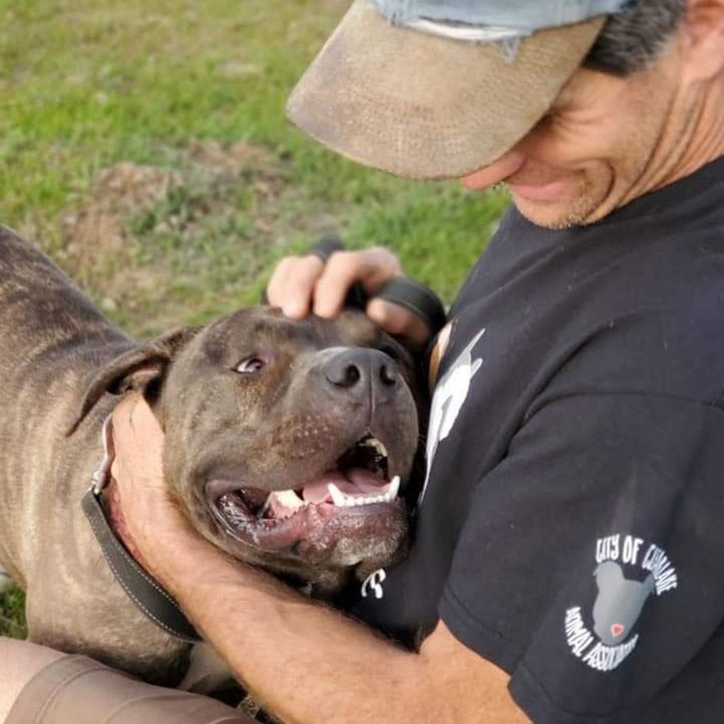 Adopt a Pet | Lucious
